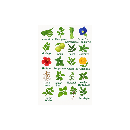 Herbal Hair Tea Mix Ayurvedic Botanical Blend for Hair Growth, Scalp Relief & Shedding Control | 14+ Herbs