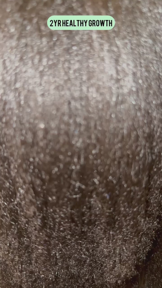 Ayurvedic Hair Growth Oil – Ultimate Growth Elixir (4 oz)